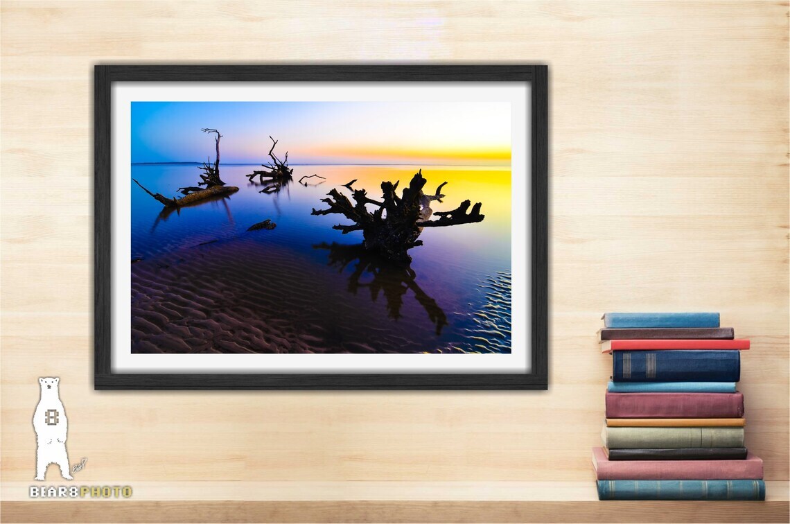 Boneyard Beach Sunrise – Big Talbot Island Florida – Fine Art Photography Prints