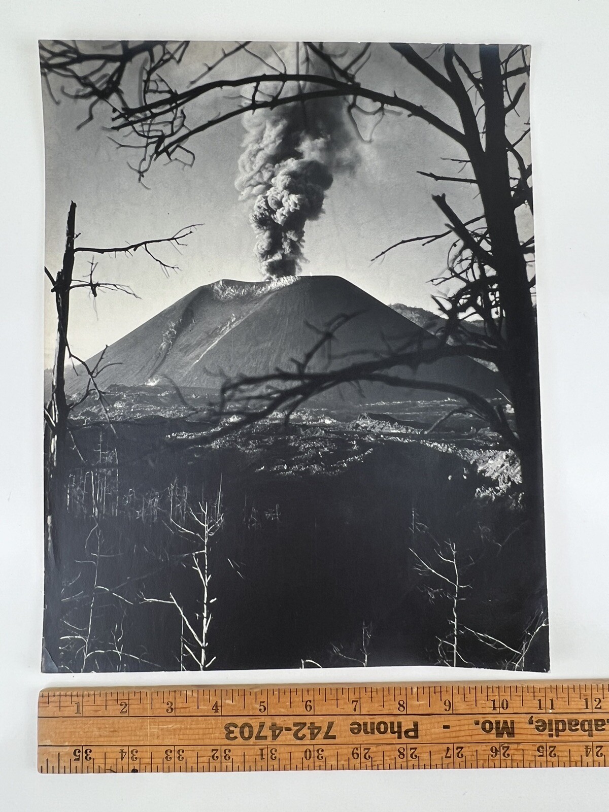 VTG Large Black & White Photograph Photography Print Parícutin Volcanic Eruption