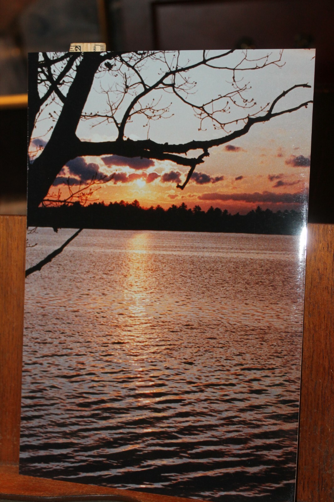Vintage Signed 8×12 Photo W. Beebe East Tennessee lake Sunset