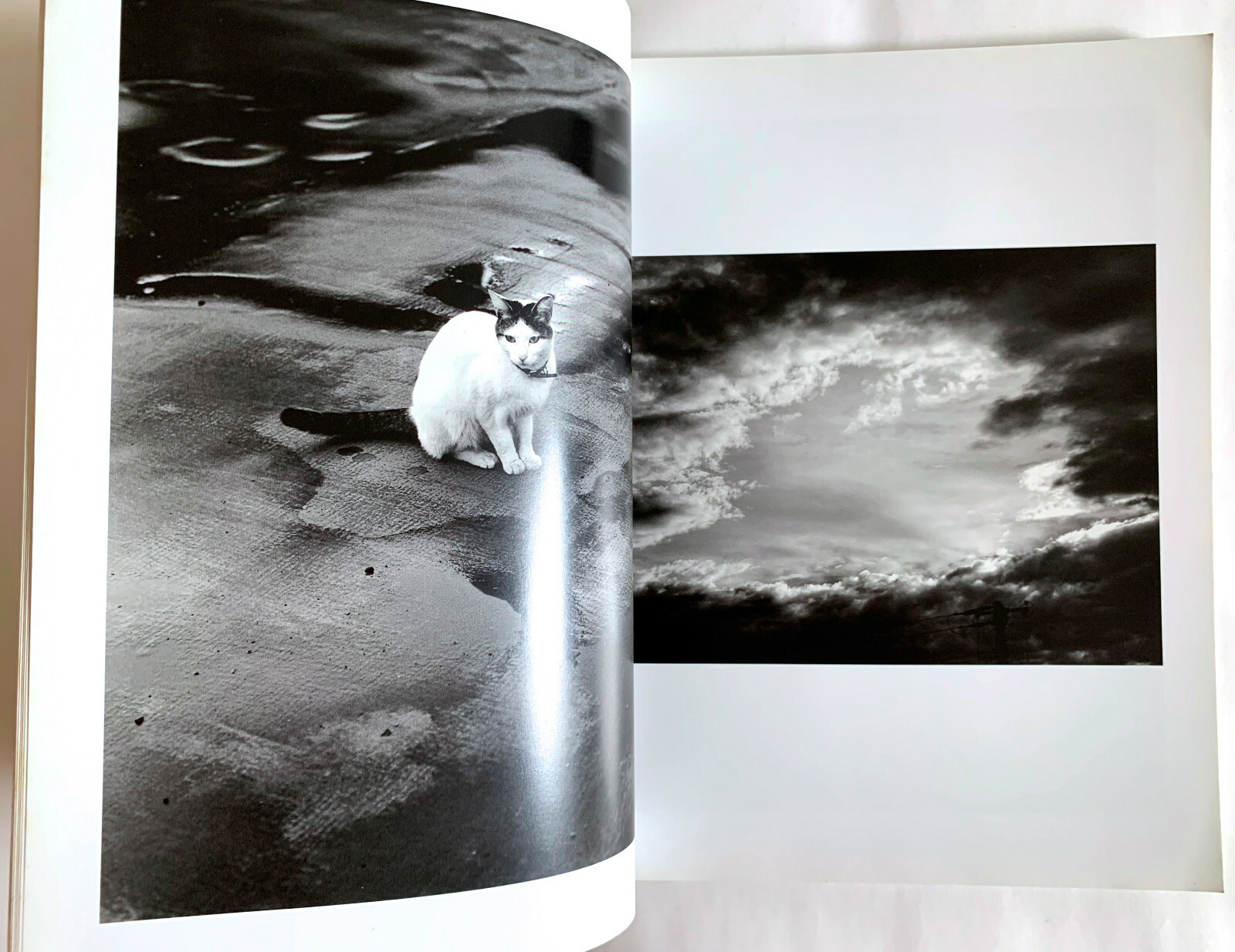 NOBUYOSHI ARAKI SPECIAL ISSUE deja-vu JAPAN PHOTOGRAPHY MAGAZINE 1991 Photo D02