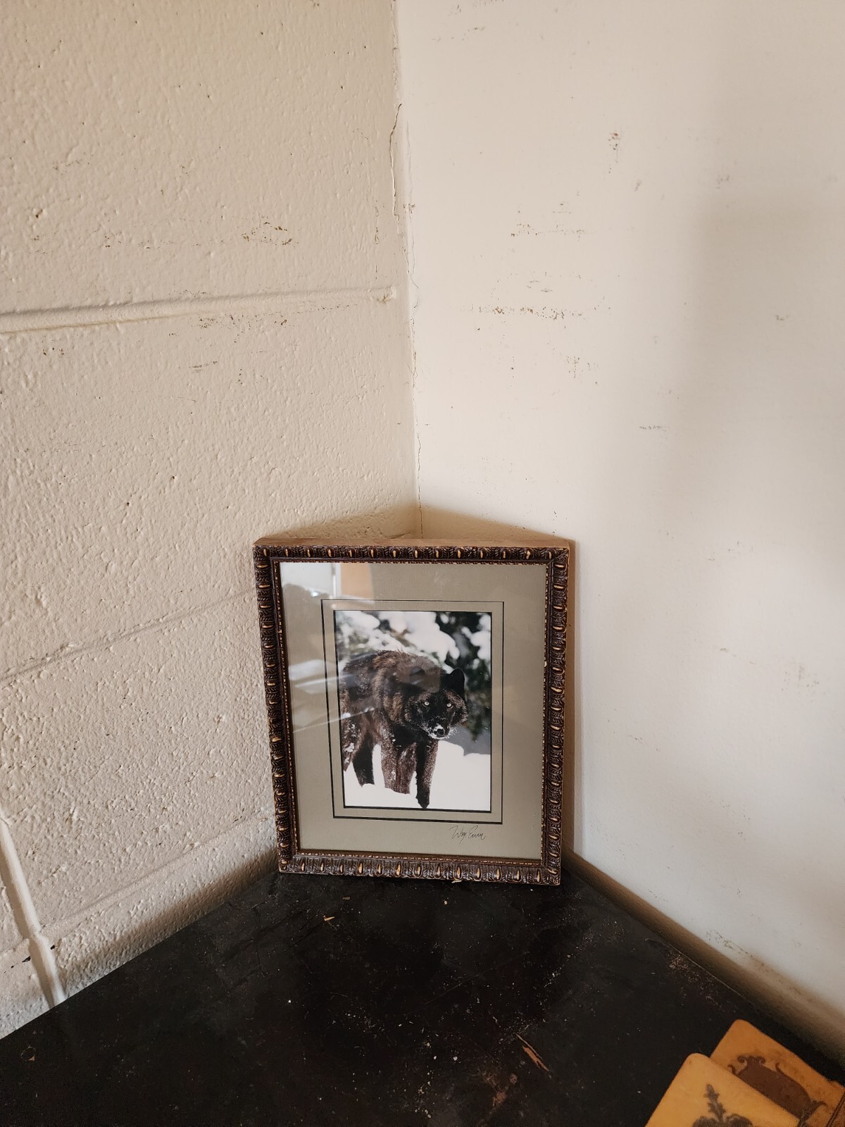 Winter wolf photo signed by William Ervin with natural wood frame