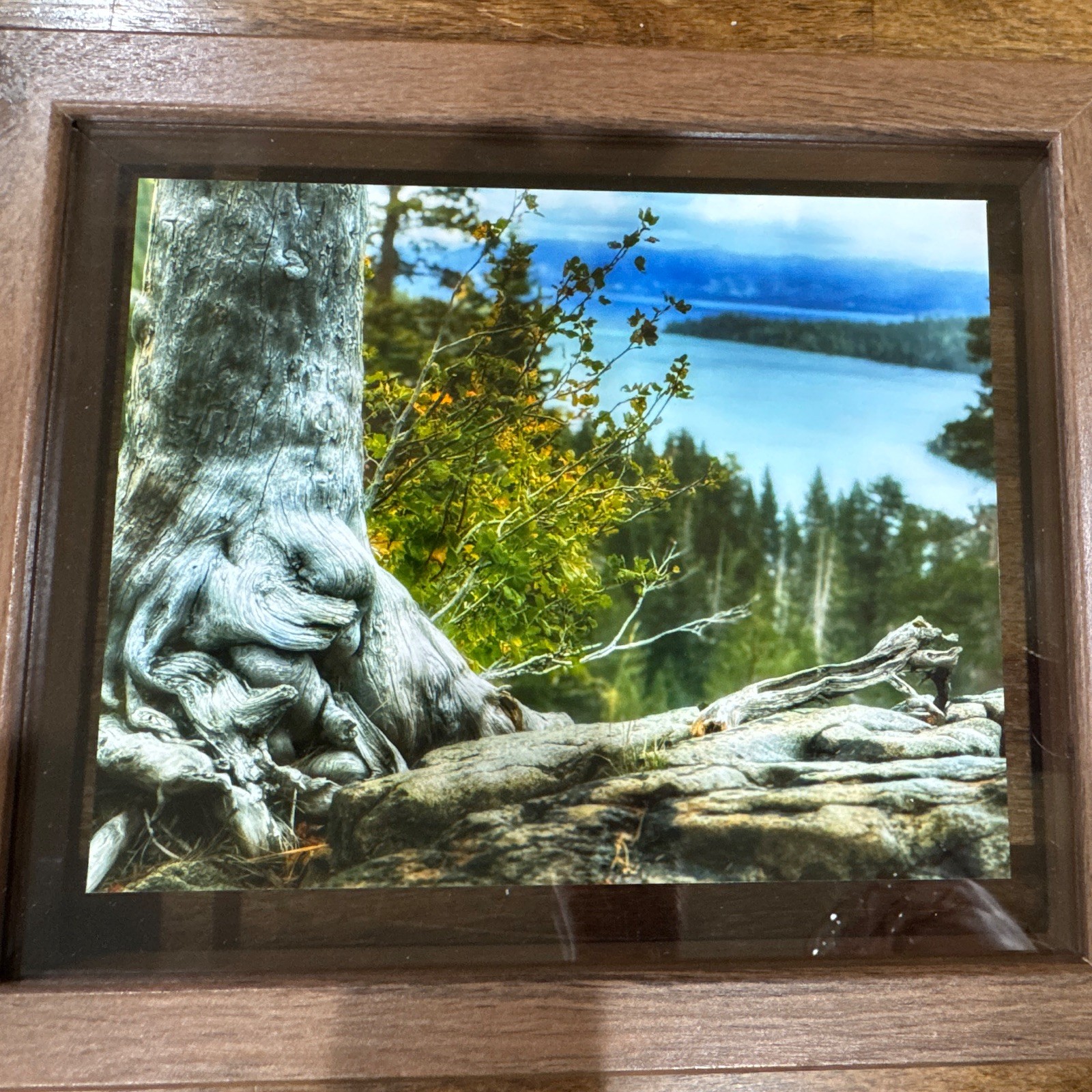 Amanda Eunice “Lake Tahoe, Nevada” Framed Color Landscape Photo Nature