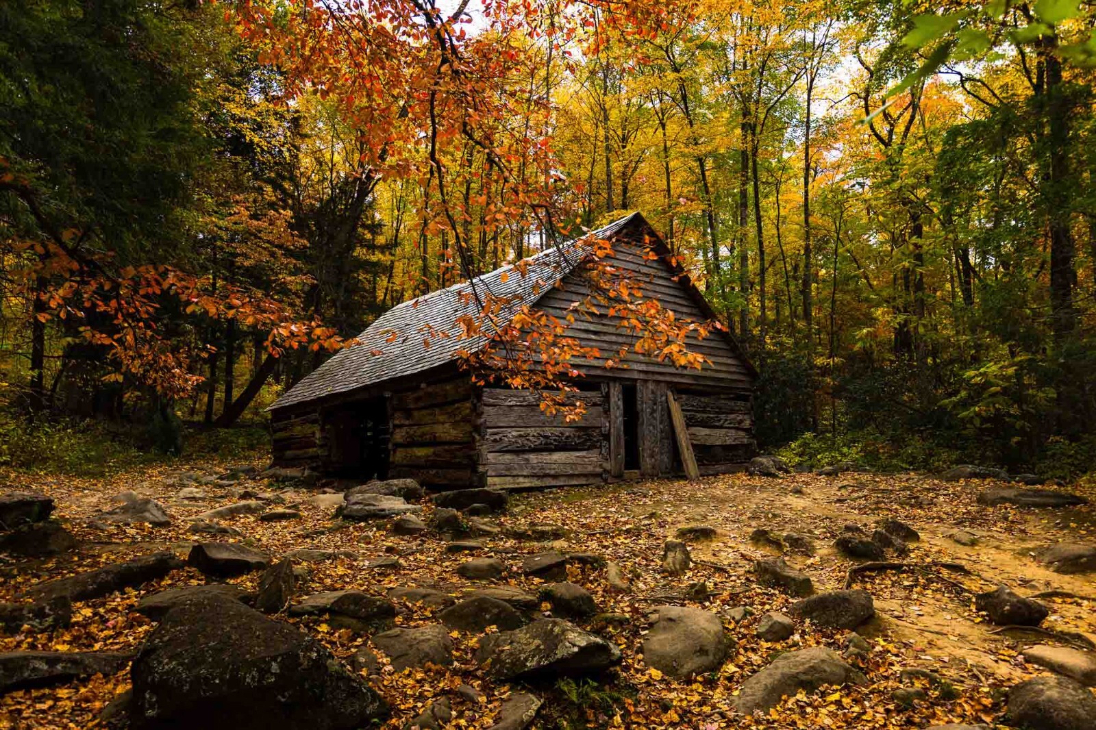 Old Barn Surrounded by Fall Foliage in Great Smoky Mountains Tennessee Print