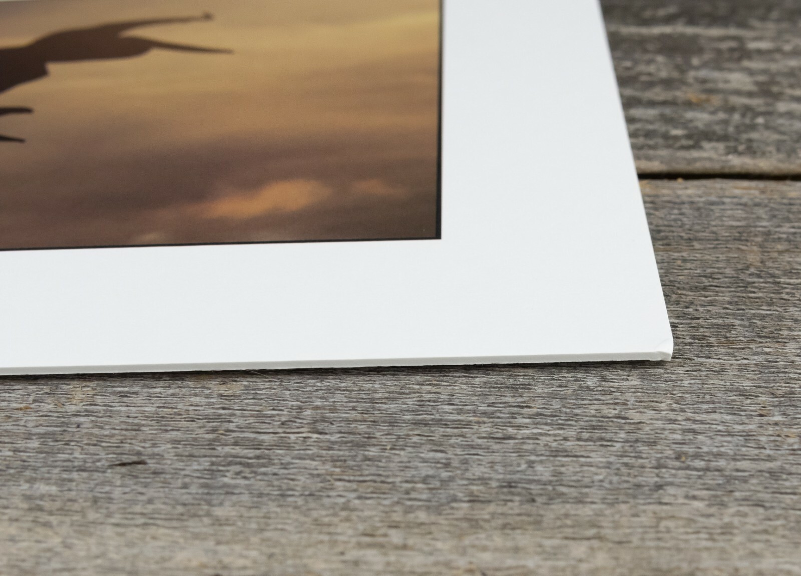 Sunset Pelican Print, 5×7, Thick Eggshell Texture Matte Paper, Ready to Frame