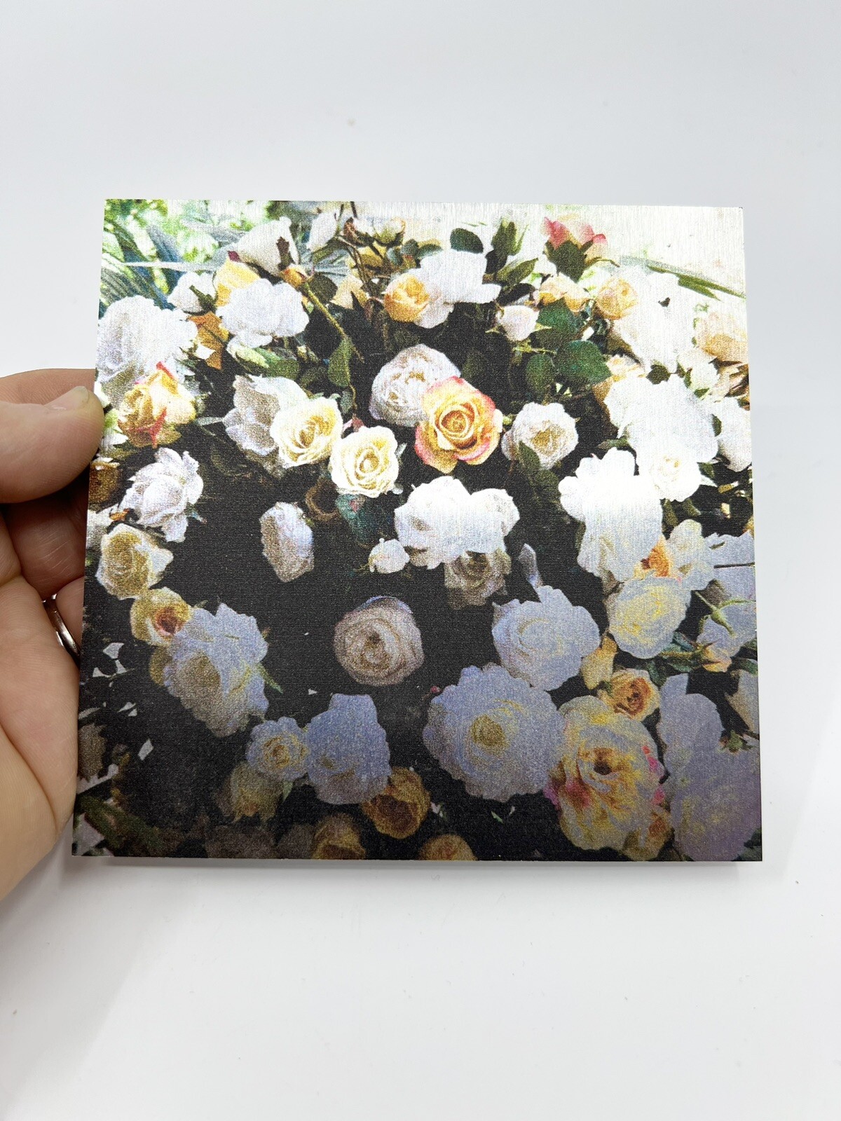 Nancy Reid Carr Art & Photography Metal Photo Print Garden Roses Signed Floating