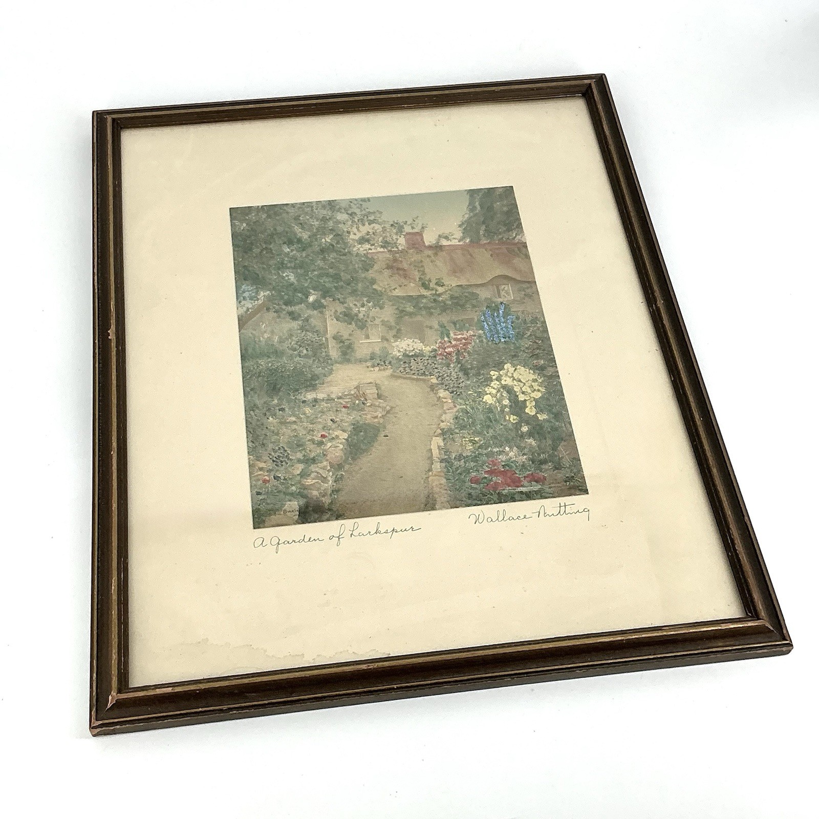 Wallace Nutting A Garden Of Larkspur Hand Tinted Colored Photo Signed Framed