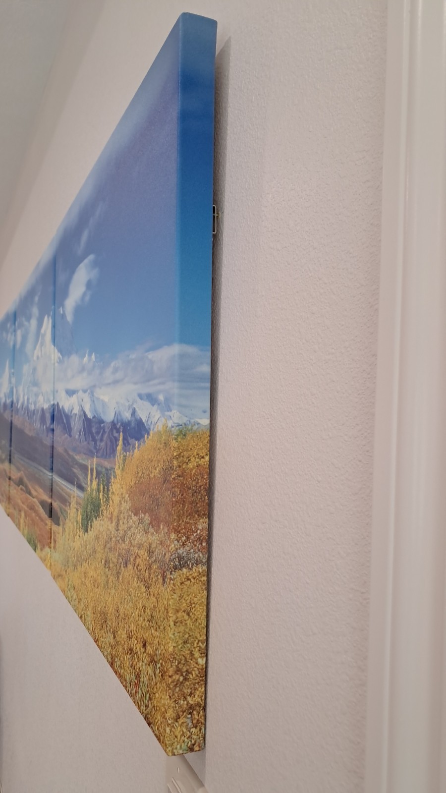 HUGE! 3x 30″x28″ Triptych print on canvas – Denali National Park.