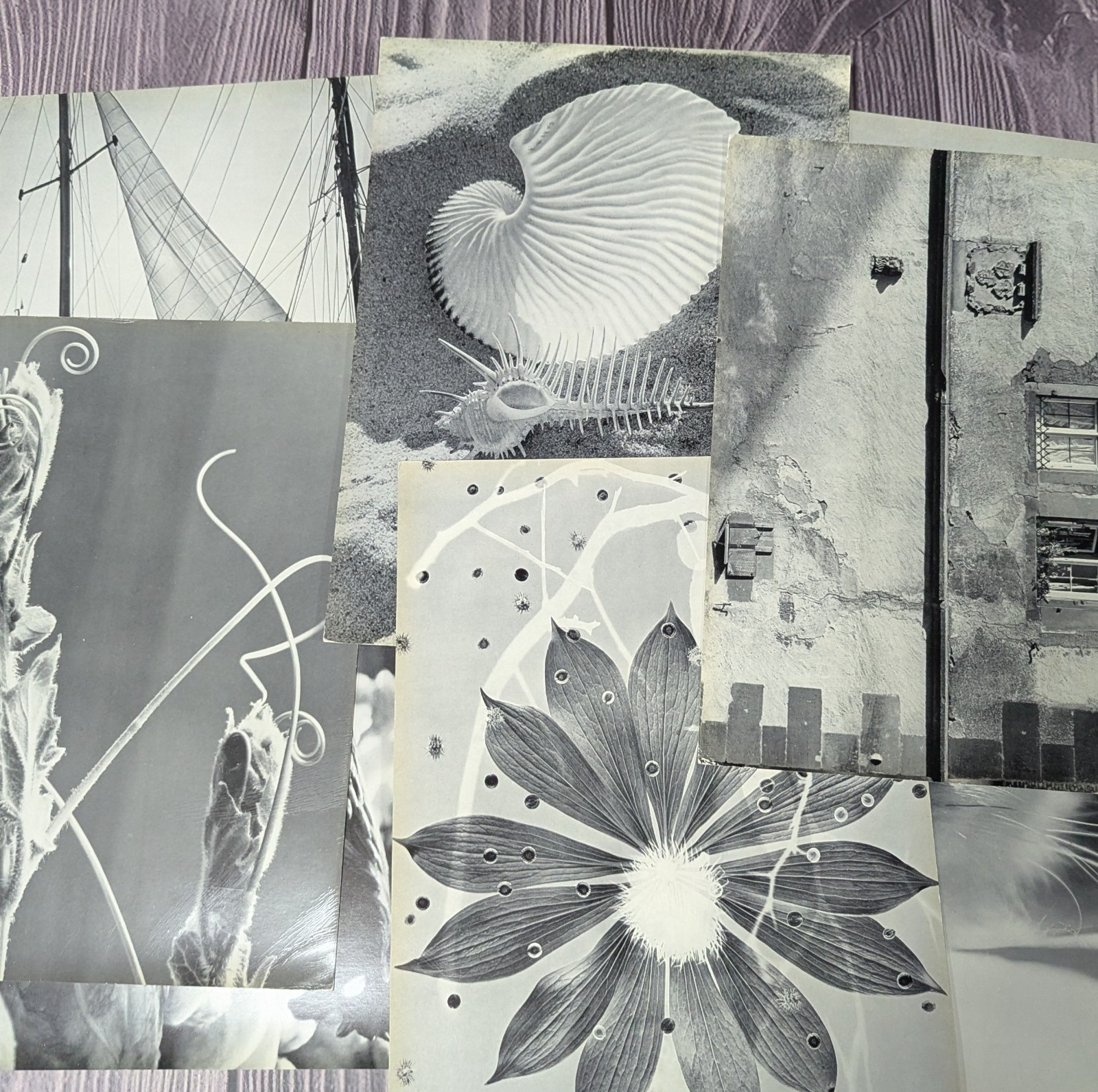 Werner Bischof – Portfolio of 24 Black & White Photographs – Scarce