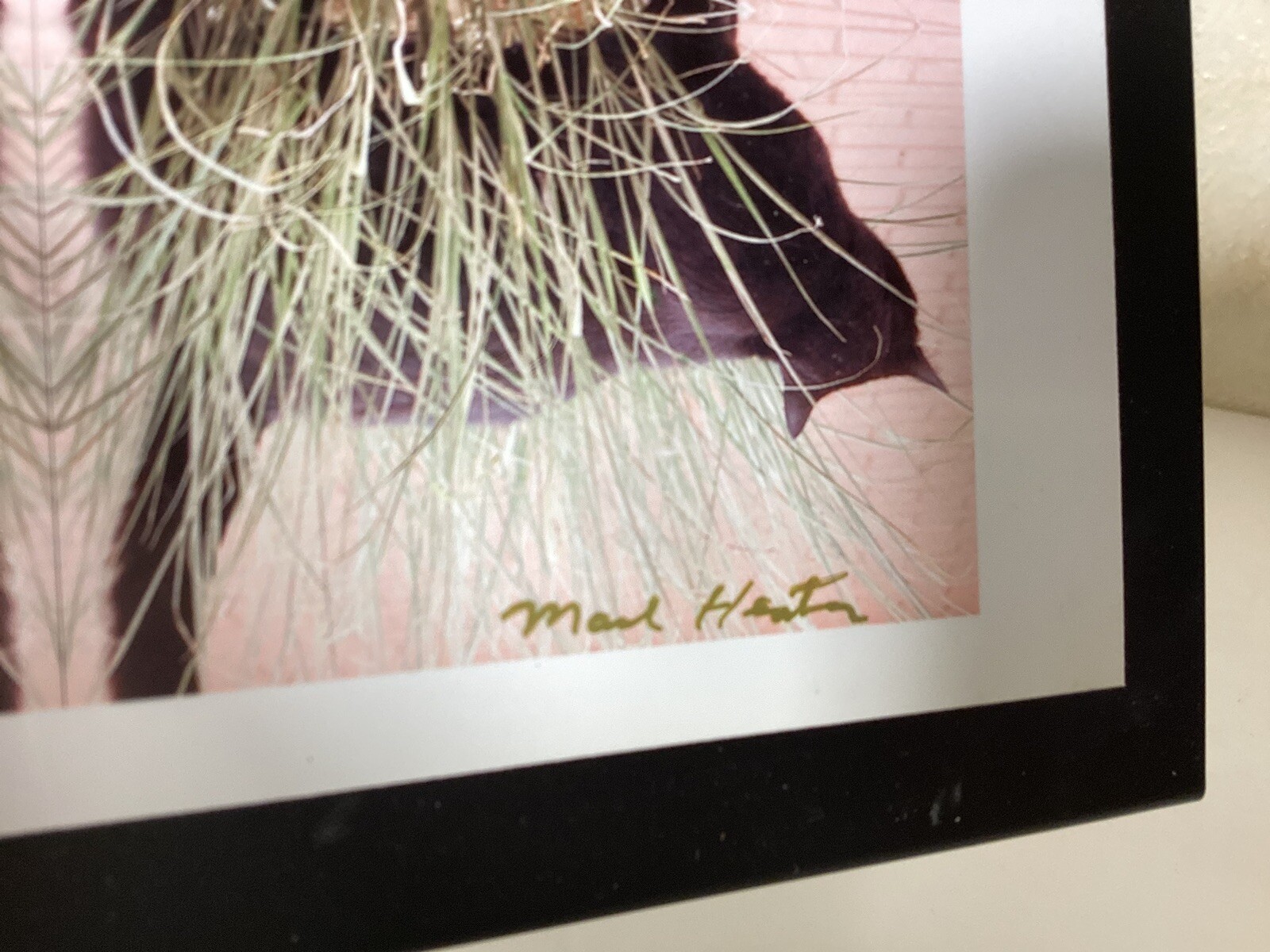 Cat Photography refleted Cats In Grass On Metal Easel Stand 5” X 7”