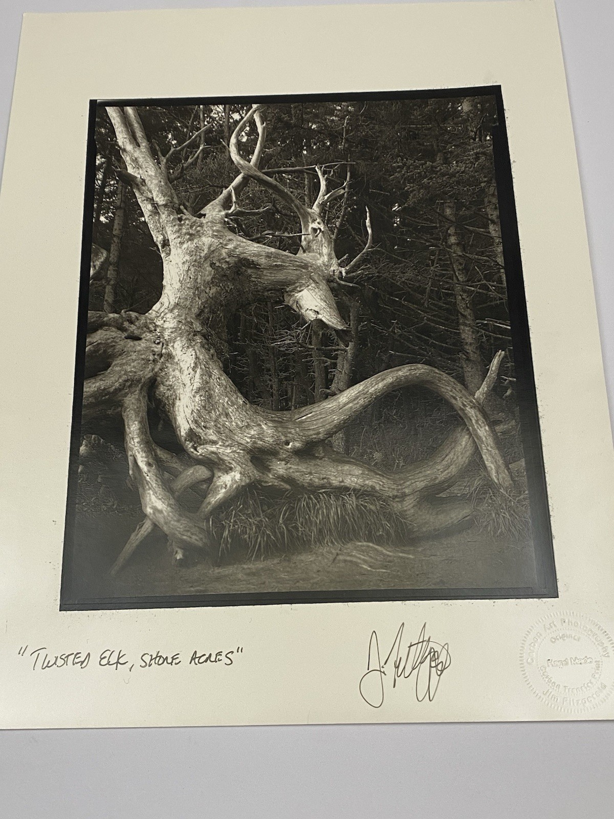 Jim Fitzgerald Twisted Elk Shore Acres Signed Photograph Carbon Transfer