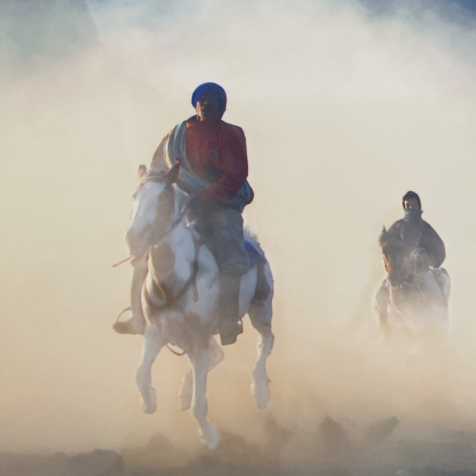 Returning Home Photo 12″ x 18″ Horses