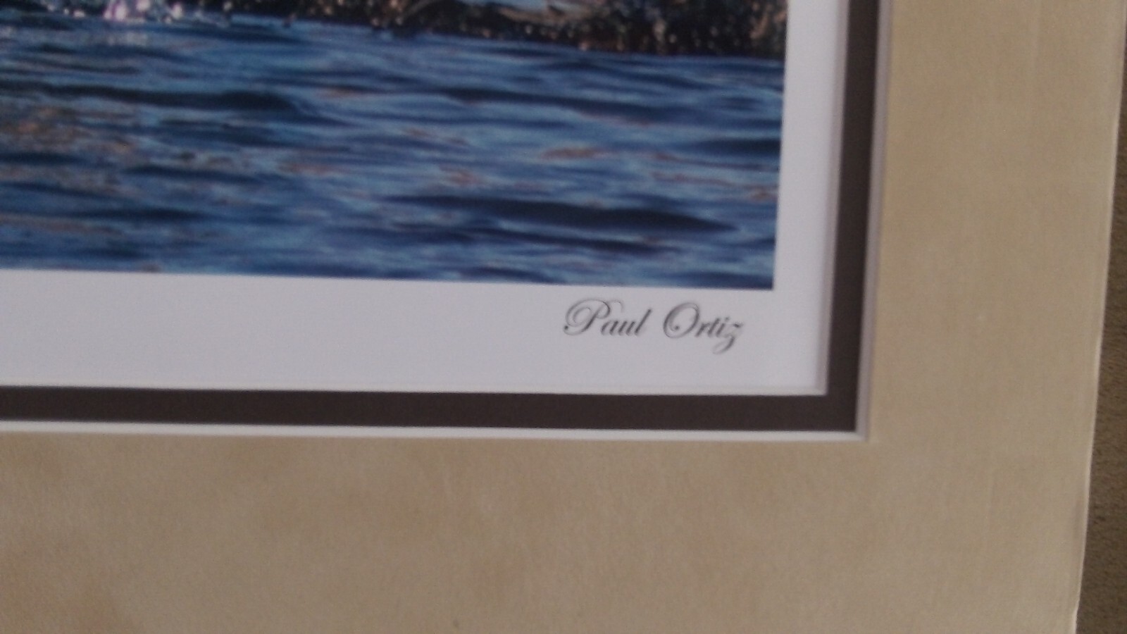 Eagle 16×20 Matted photograph, top mat suede, Beautiful NEW