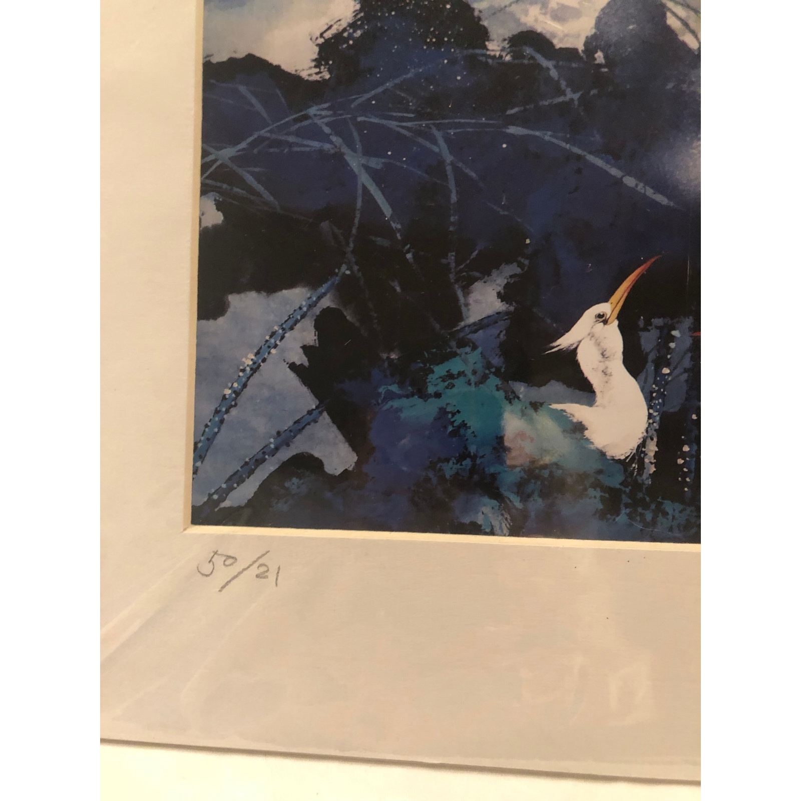 Abstract Photo Of Floral Garden Birds in Water signed and #50/21