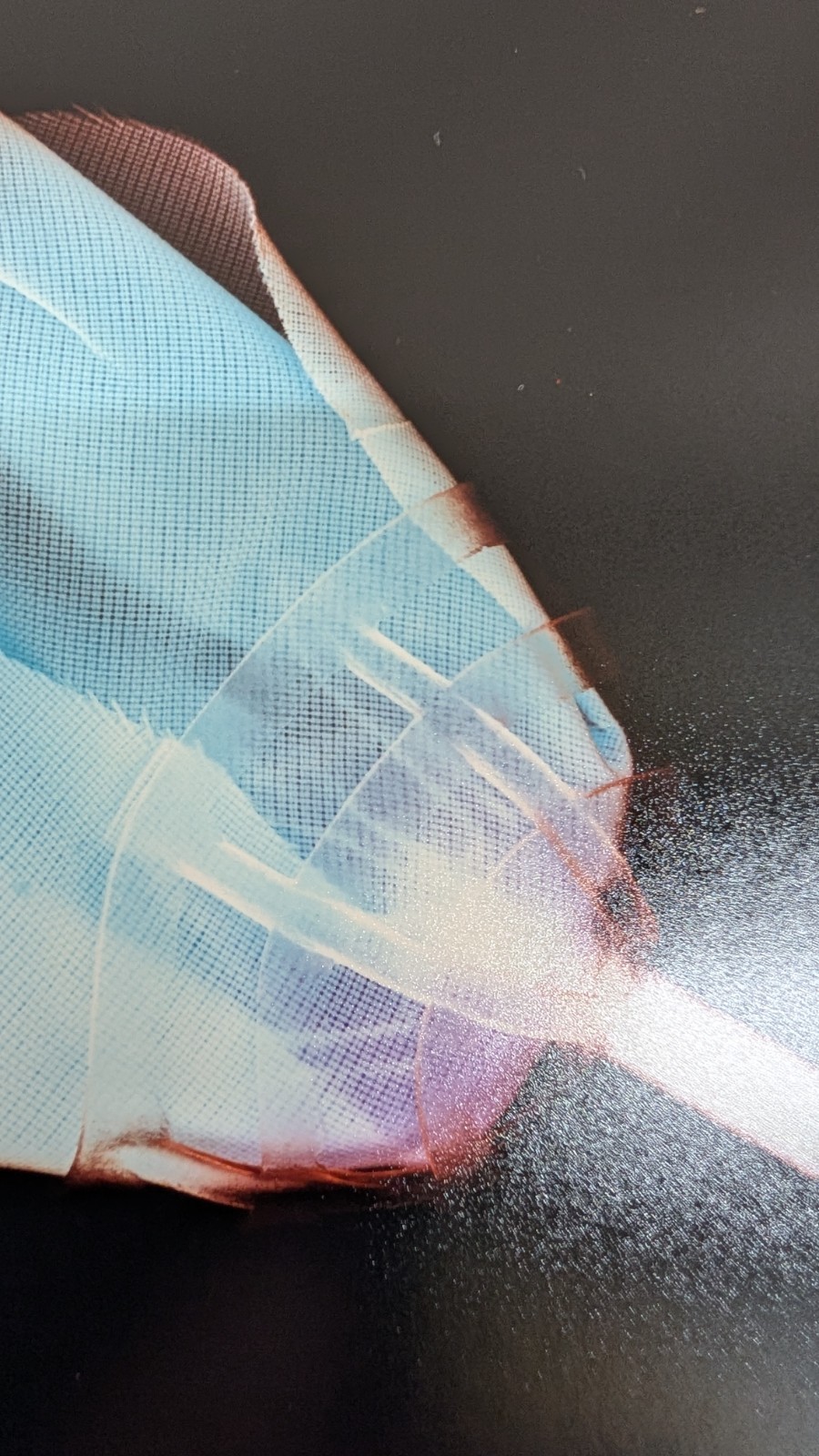 X-ray artwork of a flower by contemporary NY photo artist Mary Pinto 31/100