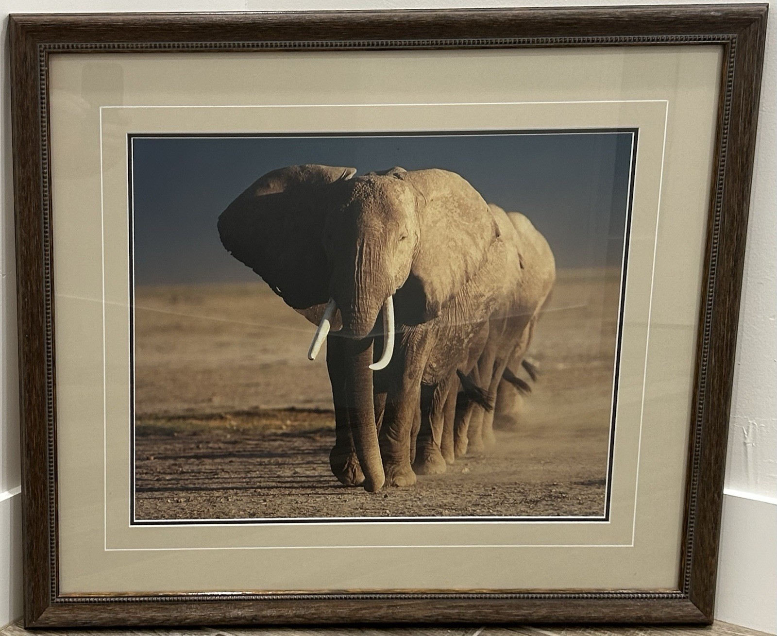 Thomas Mangelsen – Amboseli Crossing (16×20) In Gallery Frame