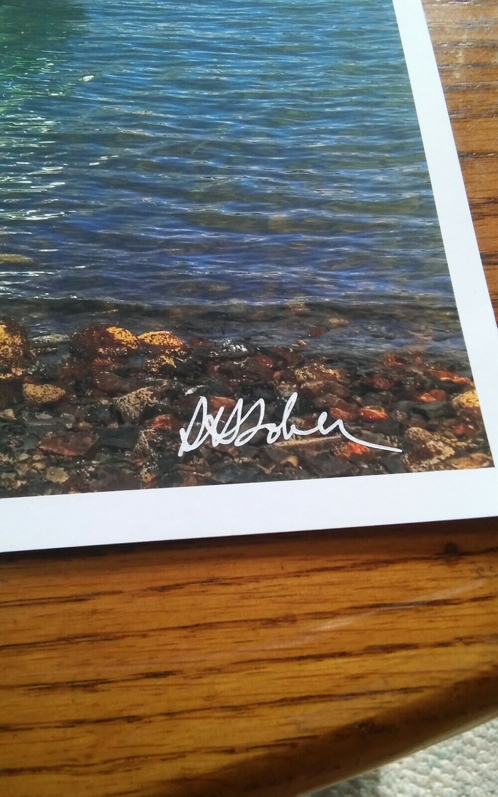 19×13 Digital Art Photograph Bar Harbor? Boats Vertical Rita Ann Monhegan