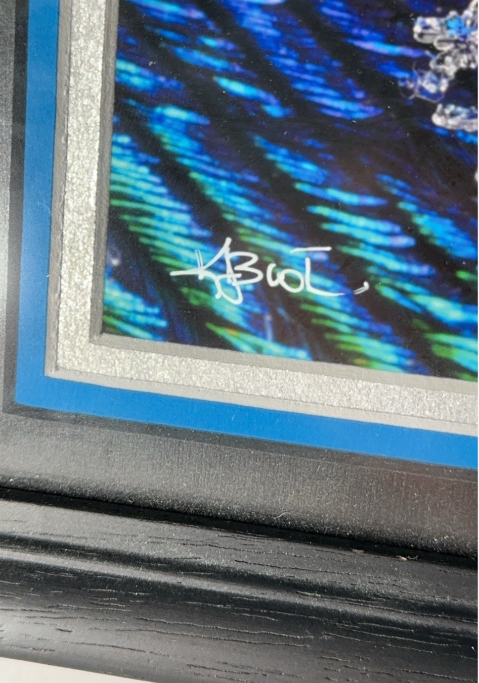 Karla Booth Macro Photography Snowflakes On Peacock Feathers Signed Art Snow COA