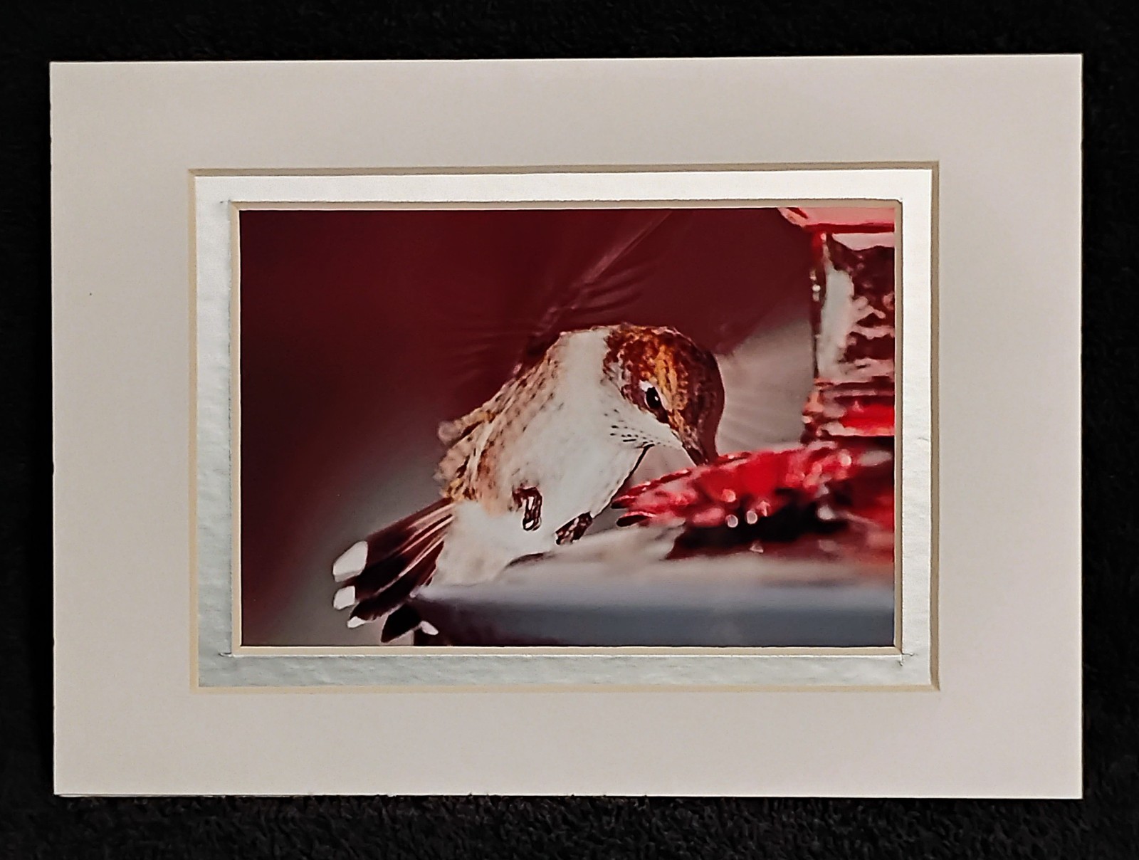 Wall Art Photography Hummingbirds Butterflies Garden 3×5 Photo Prints 4×6 Mats