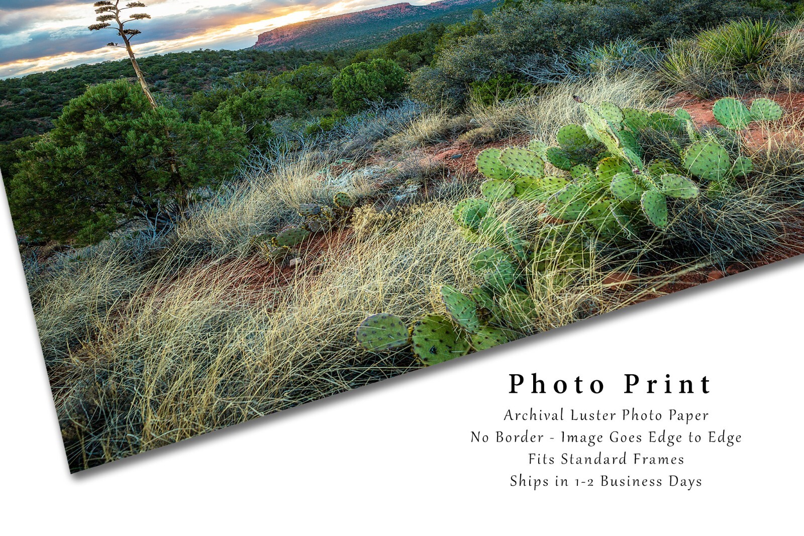 Sedona Photography Print: Arizona Desert Southwest Landscape Sunset Photo