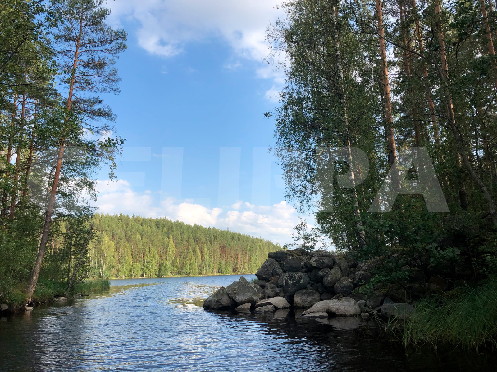 Photo Digital Product Wallpaper Image Picture Background Desktop Art -Lake.Fores