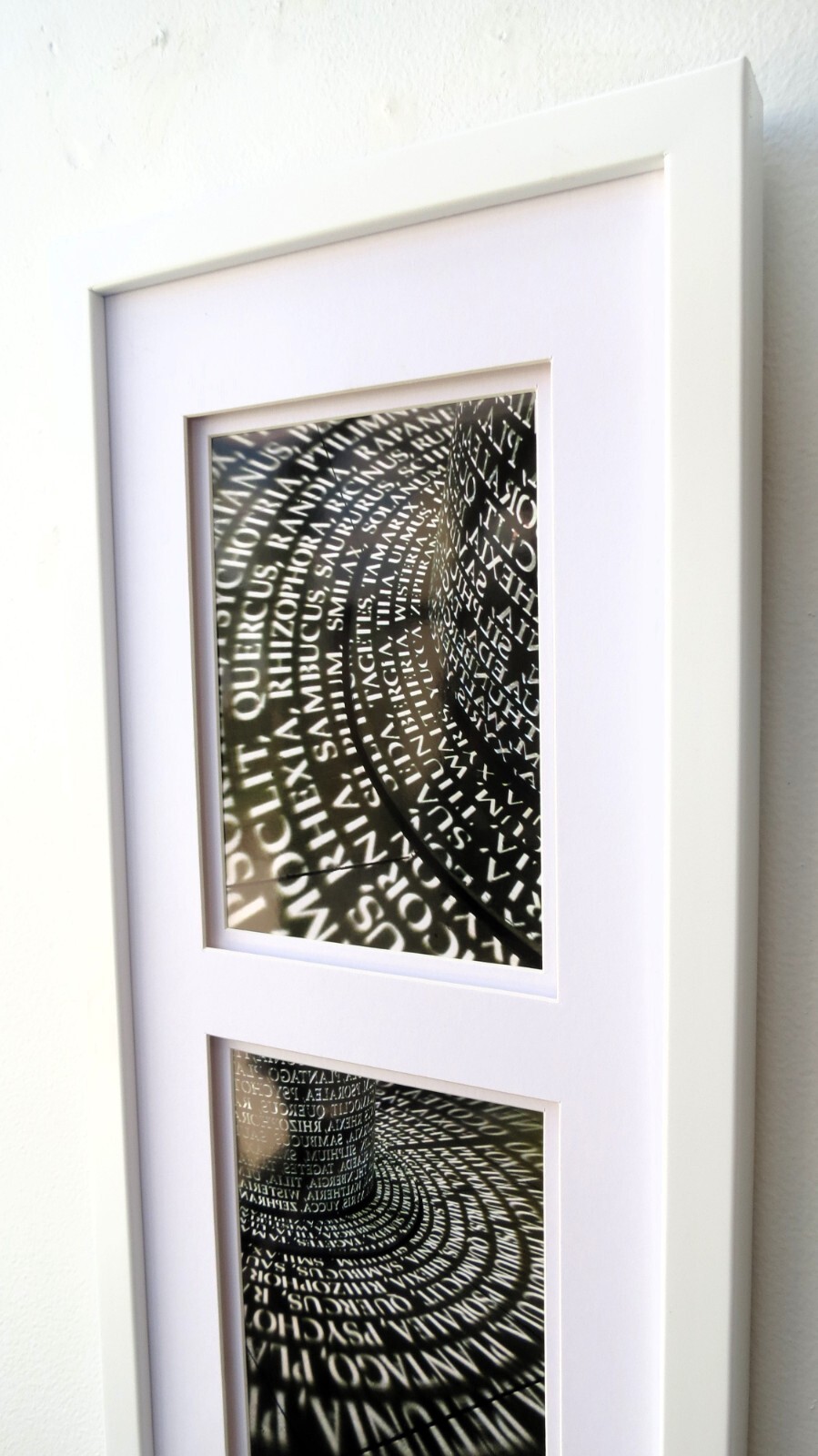 Framed Original Photography, Architectural, Travel, Sculpture by C. Damien Fox