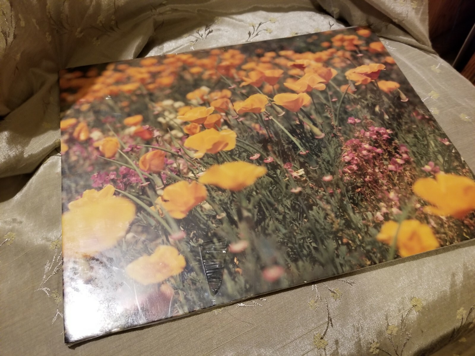 VTG Photograph in Plastic of a Field of California Poppies by Walter Arrufat R