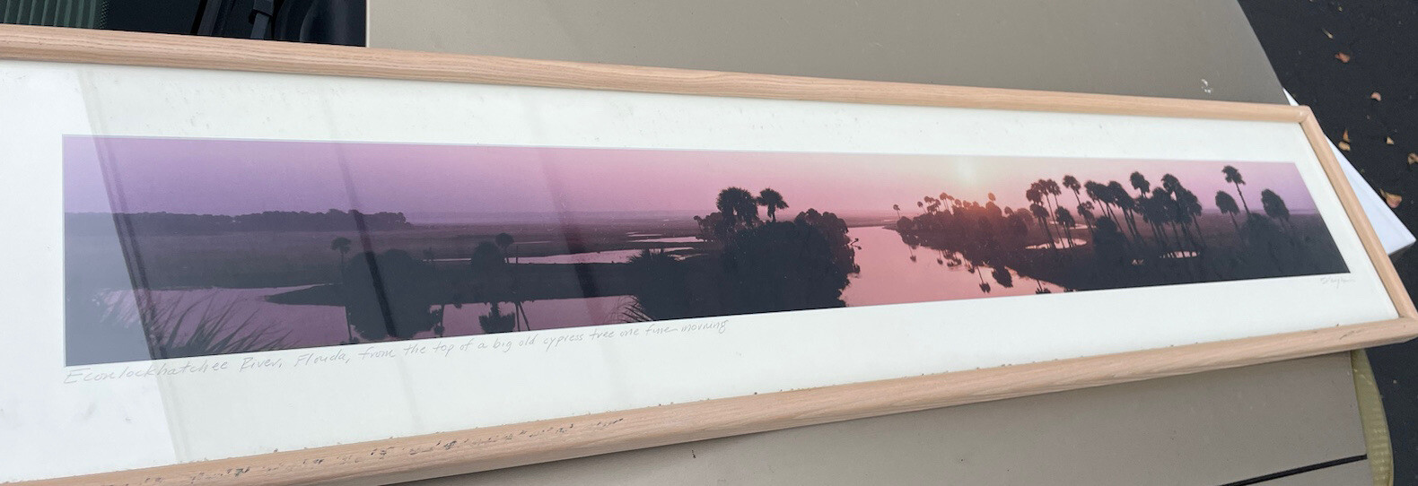Panoramic Framed ECON Top Econlockhatchee River Florida Steve Vaughn 52:11’