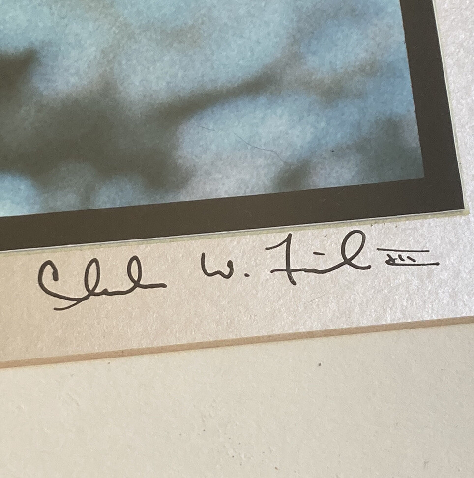 RARE Photographer Signed Limited Edition Photograph Print 1974 Lazy Lioness EUC!