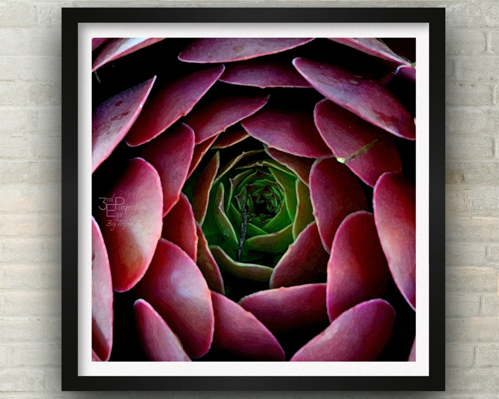 Succulent, Abstract Floral, Nature Art, Fine Art Photo on Metal, Canvas or Paper