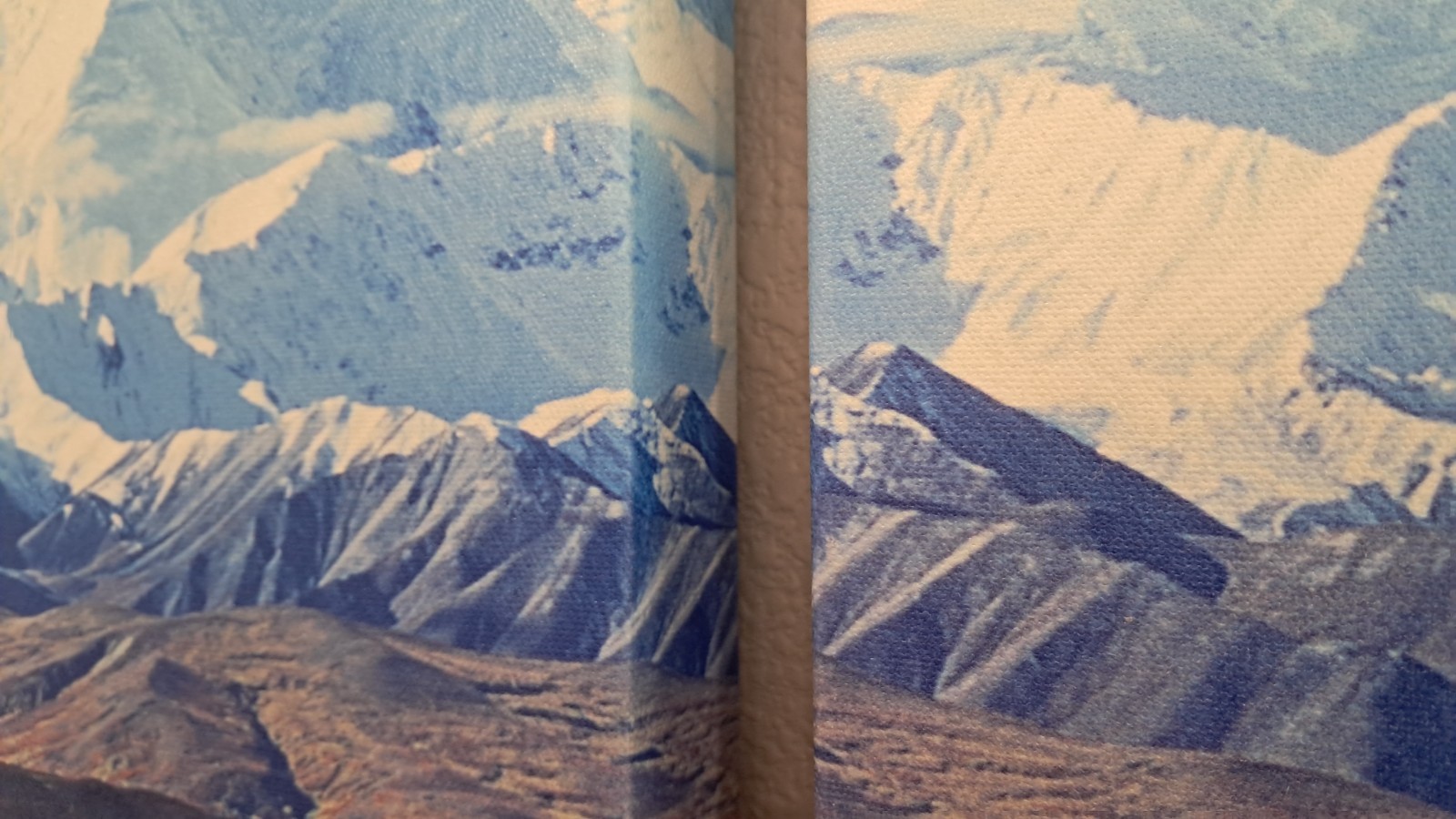 HUGE! 3x 30″x28″ Triptych print on canvas – Denali National Park.