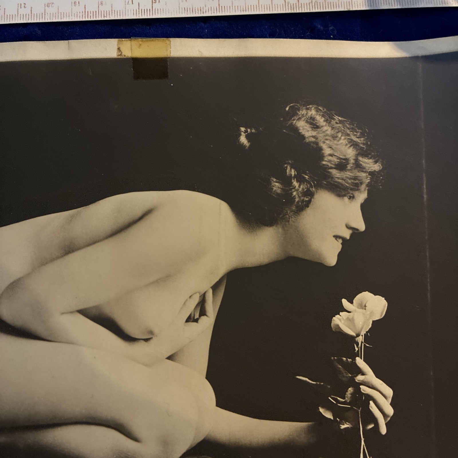Henry Shaw Original large nude pose boudoir alta dienes sf boston mass flower