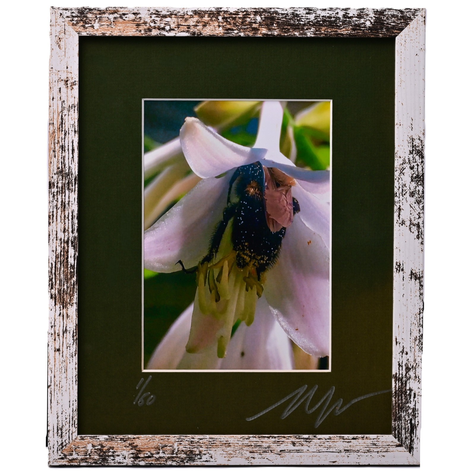 MICHAEL RAY Original Vintage Signed Long Island NY Floral Still Life Photograph