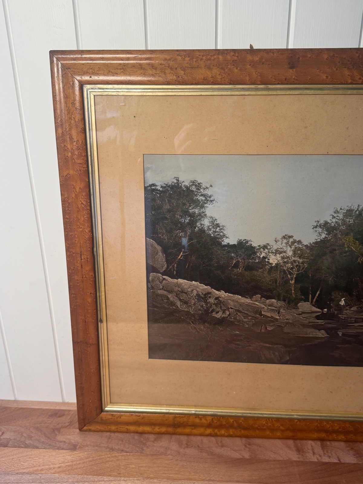 c.1900 Hand-Tinted Albumen Photograph Indigenous Landscape in Burr-Walnut Frame