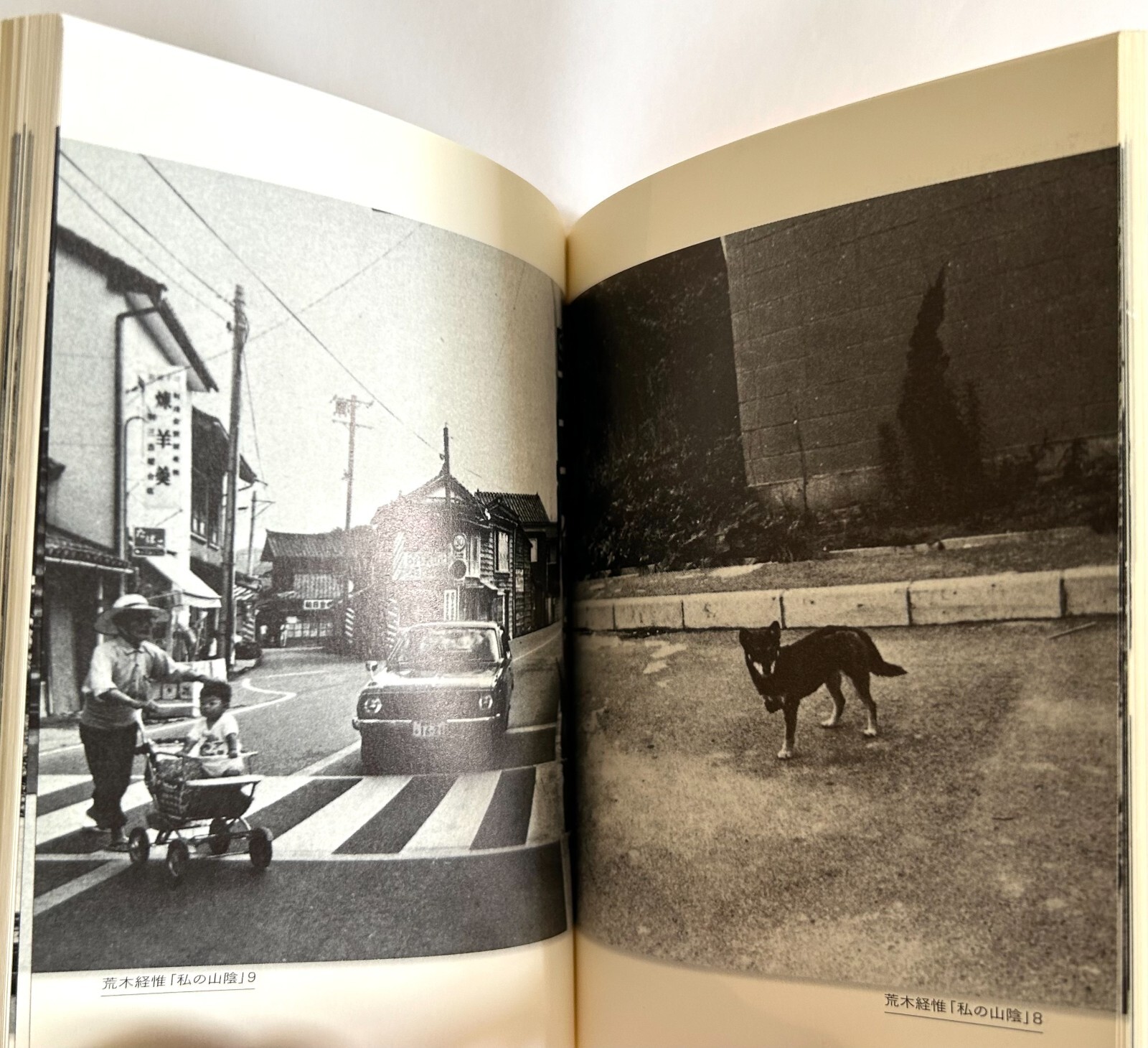 NOBUYOSHI ARAKI JOURNEY TO PHOTOGRAPHY Reissue JAPAN MINI PAPERBACK BOOK ’07 Z22