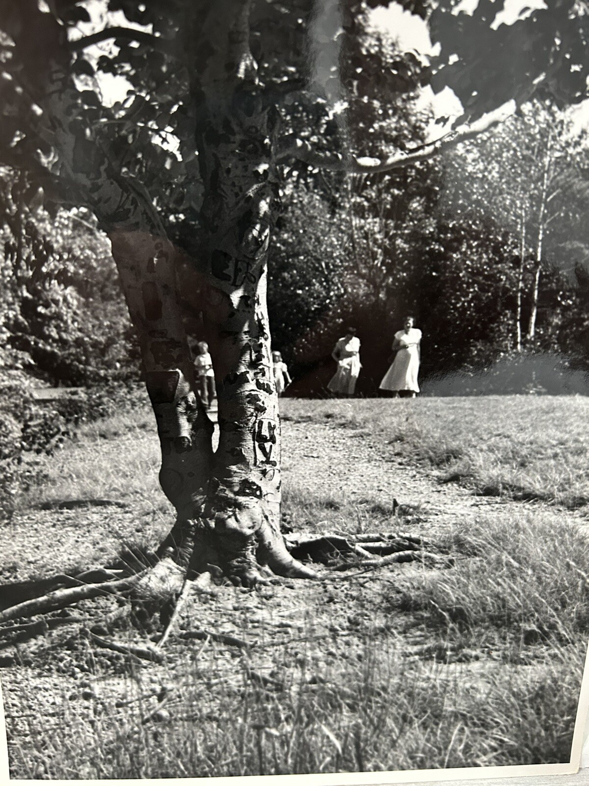 Arthur Gray Standard Oil Photographer Cleveland Ohio Americana People in Woods!!