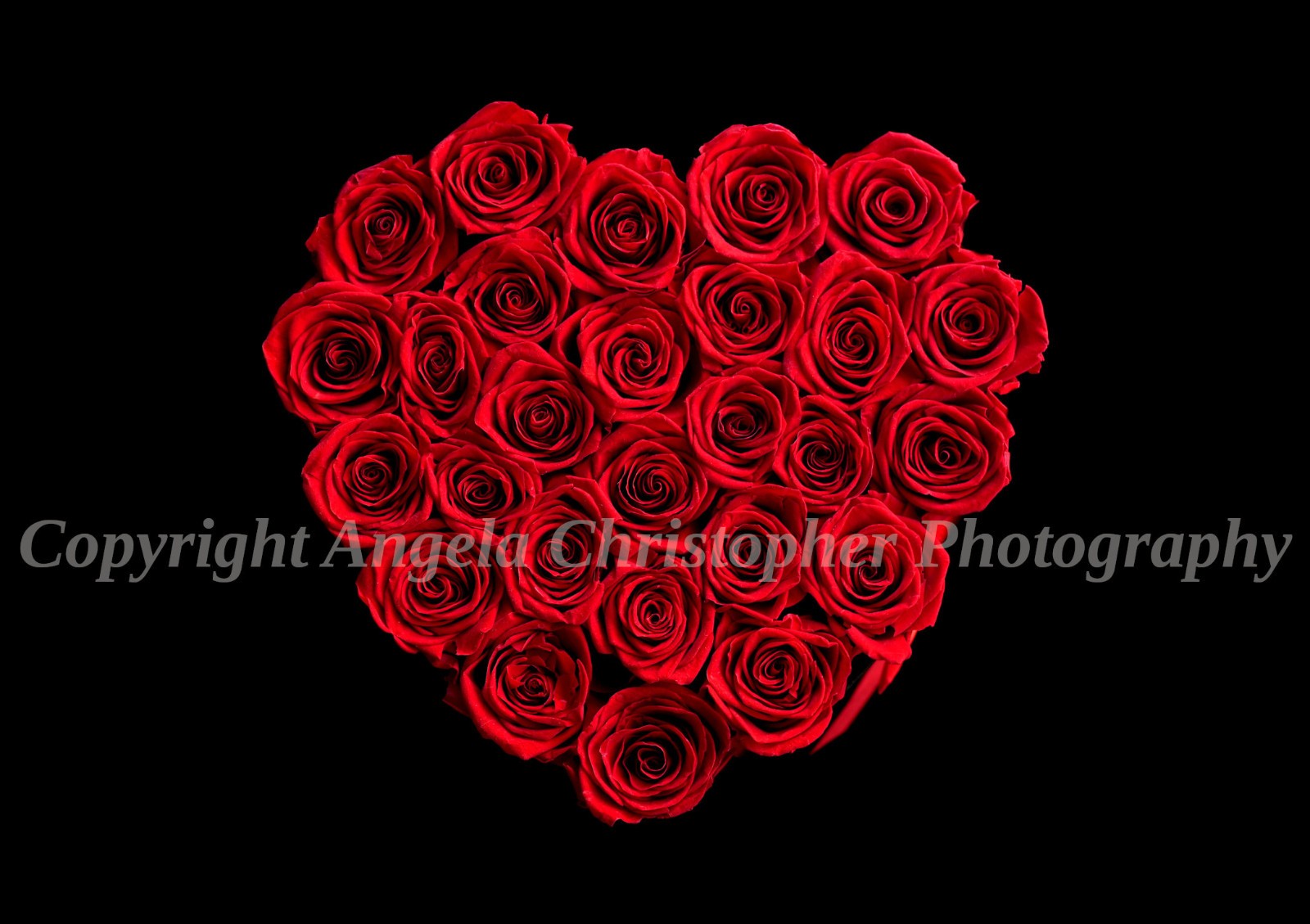 Original ACEO 2.5 x 3.5 inches photo fine art print HEART OF ROSES red flowers