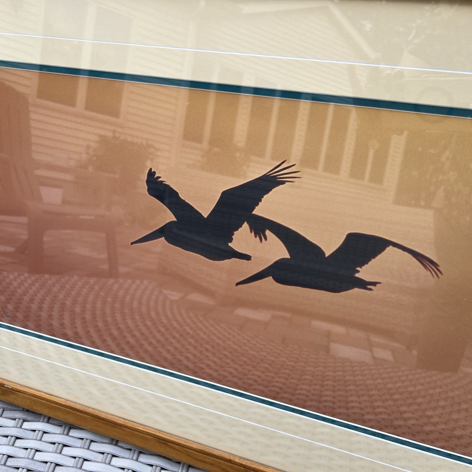 Thomas Mangelsen Signed Art Photo Ltd Pelicans Birds Wings At Dusk Numbered MCM