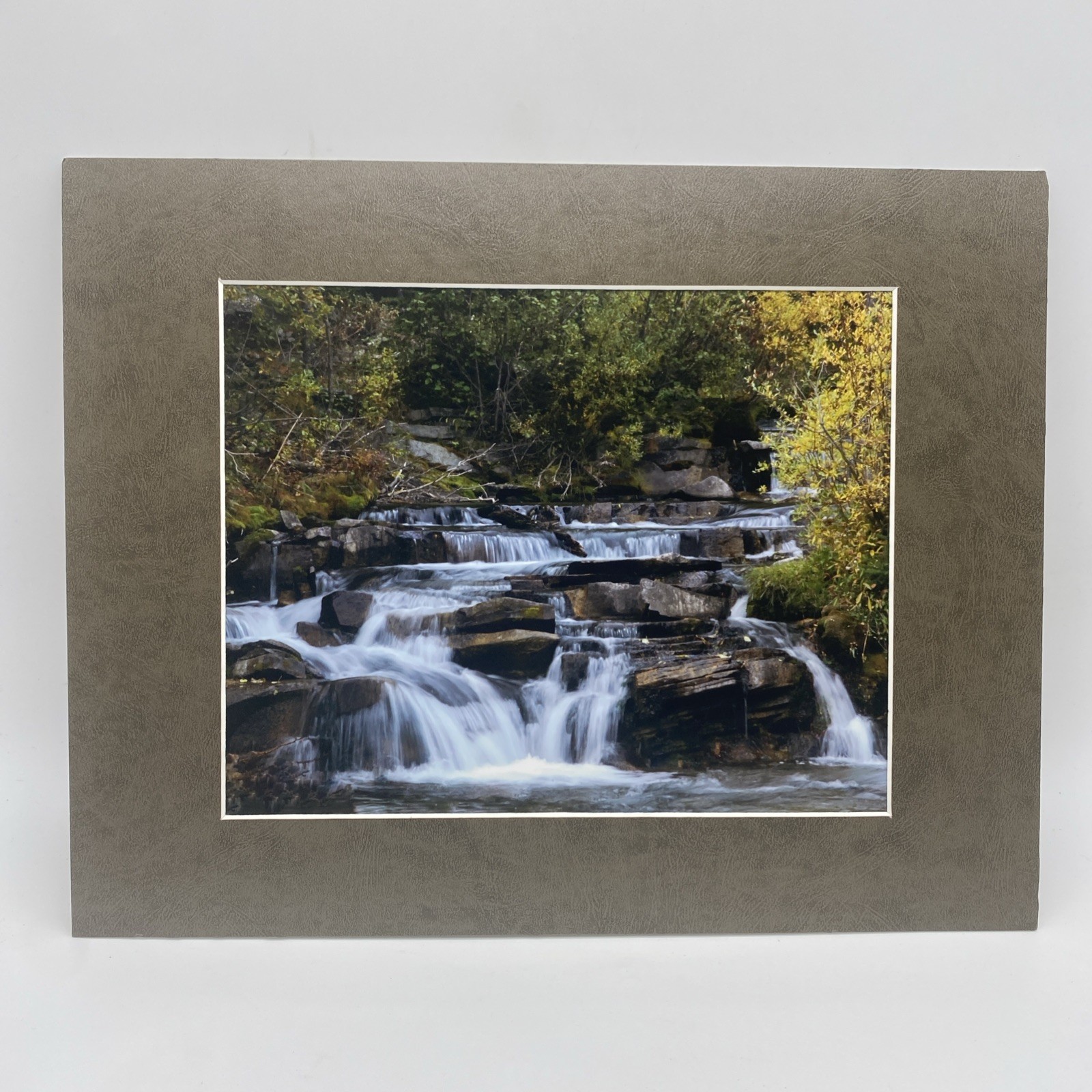 Matted River Forest Landscape Photo Print 11 X 14 Wall Art Gallery Decor