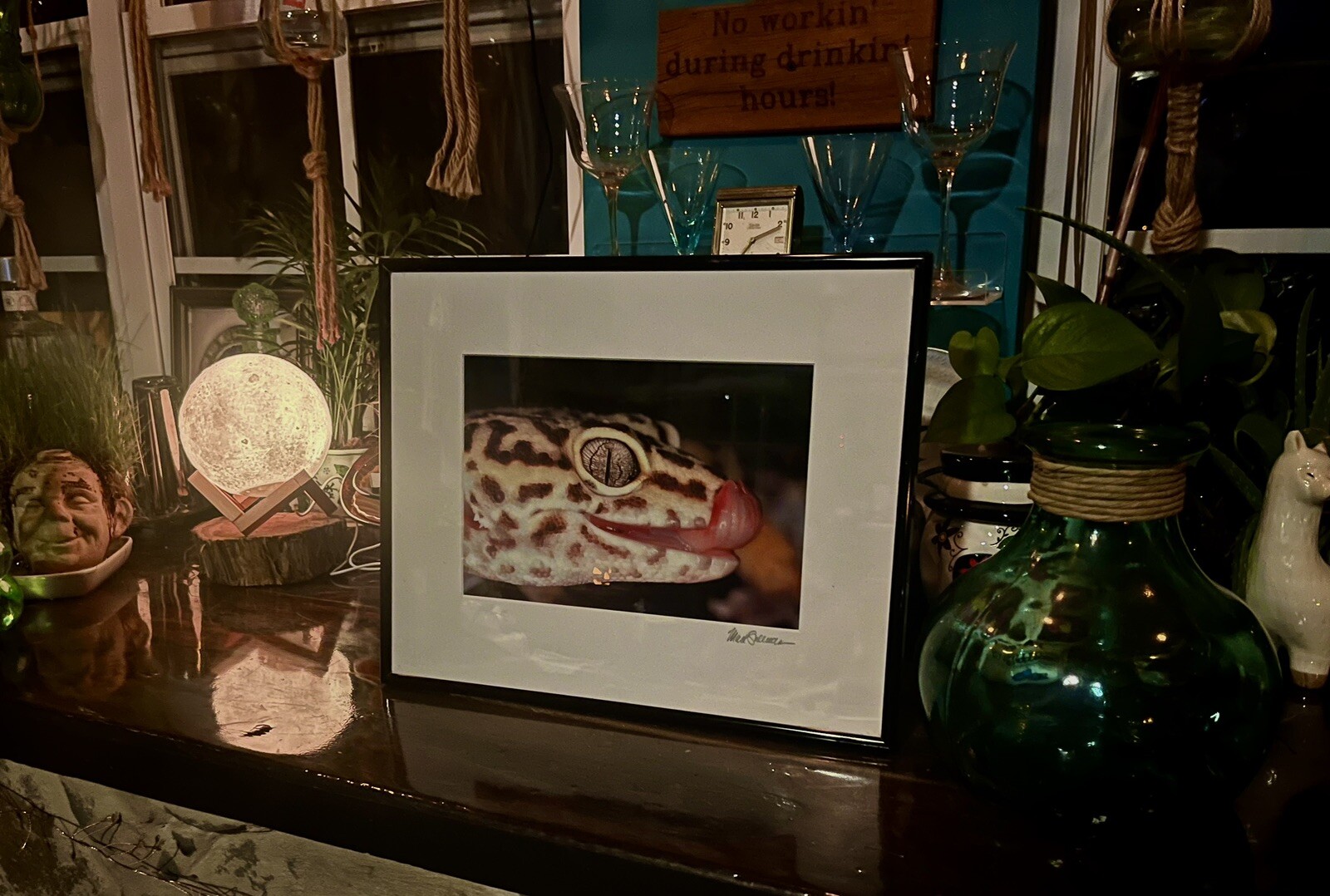 The Leopard Gecko -Close-Up Reptile Photography- Artist Signed