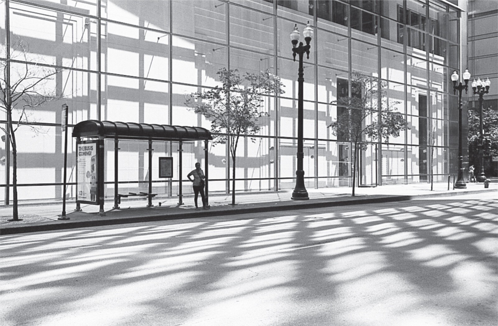 Bus Stop, Woman, Chicago 2016. B & W photograph. Quality Art Print