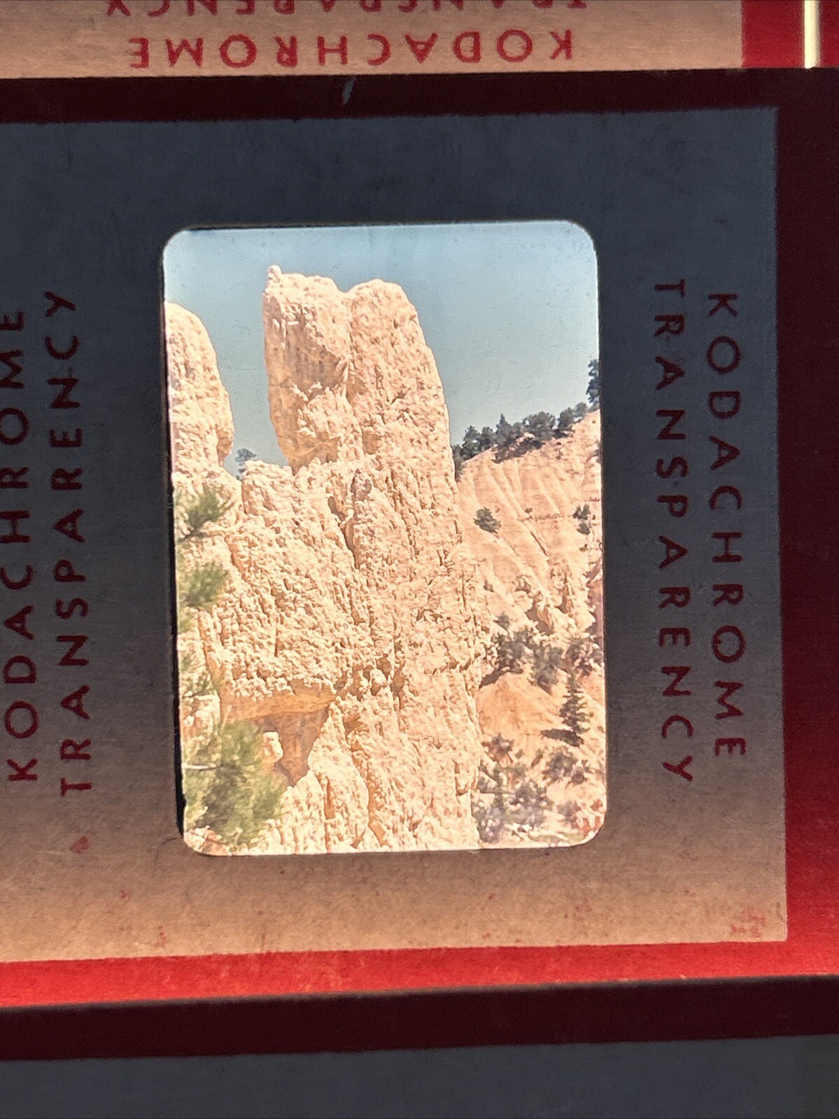 Kodachrome Red Border Lot Of 40 1950’s Camping Trip Flowers 35mm Color Slides