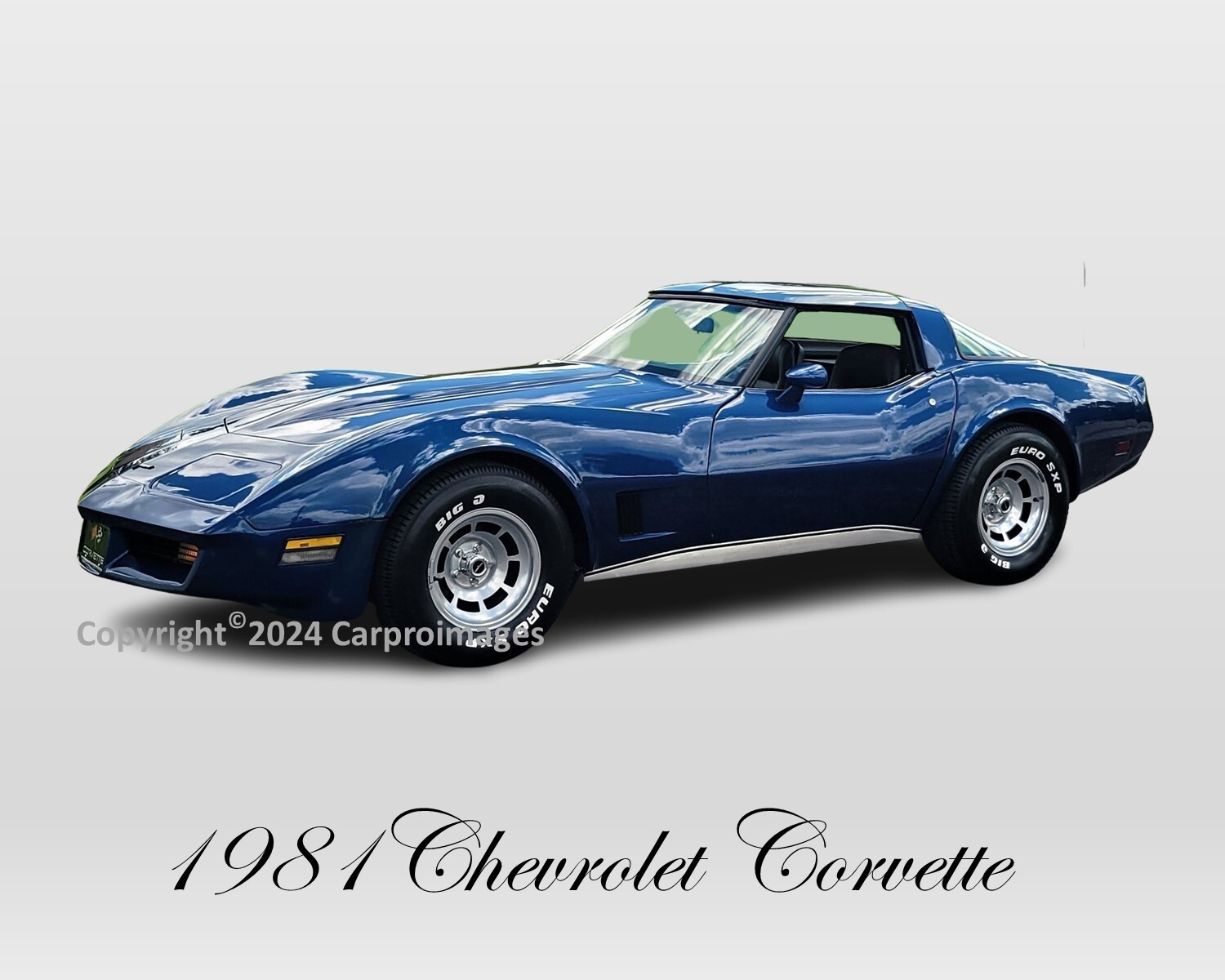 1981 Chevrolet Corvette Limited Edition Print 8″ x 10″ Photo GREAT GIFT IDEA