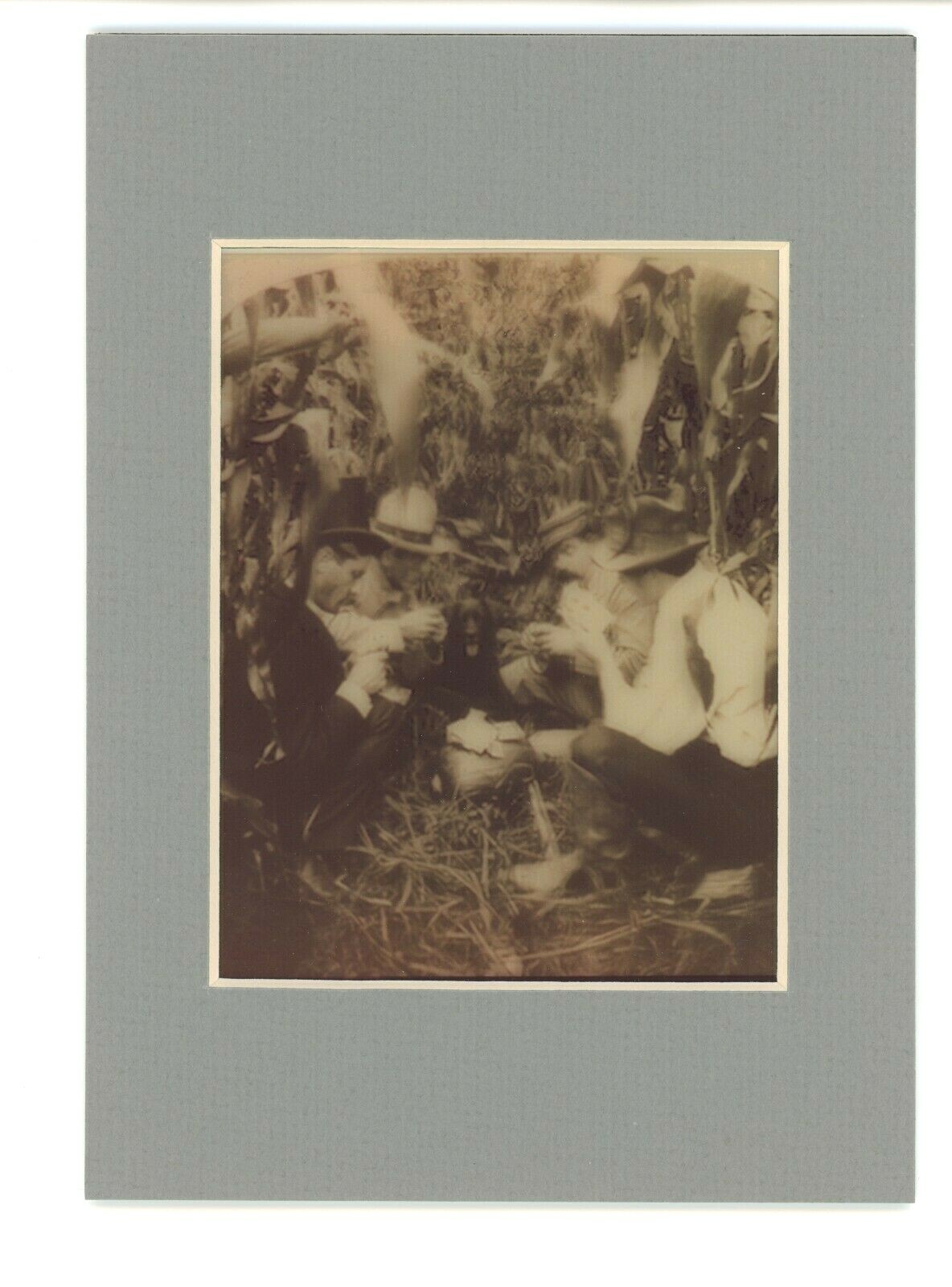 Cards In a Cornfield 1880 Americana Farm 3d Photo Reprint Stereographic Arts 5×7
