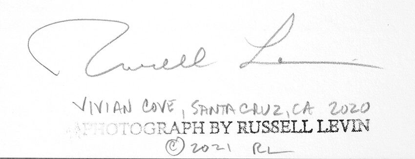 RUSSELL LEVIN 2020 VIVIAN COVE AT WINDOW 16″X22″ SIGNED ORIGINAL PHOTOGRAPH