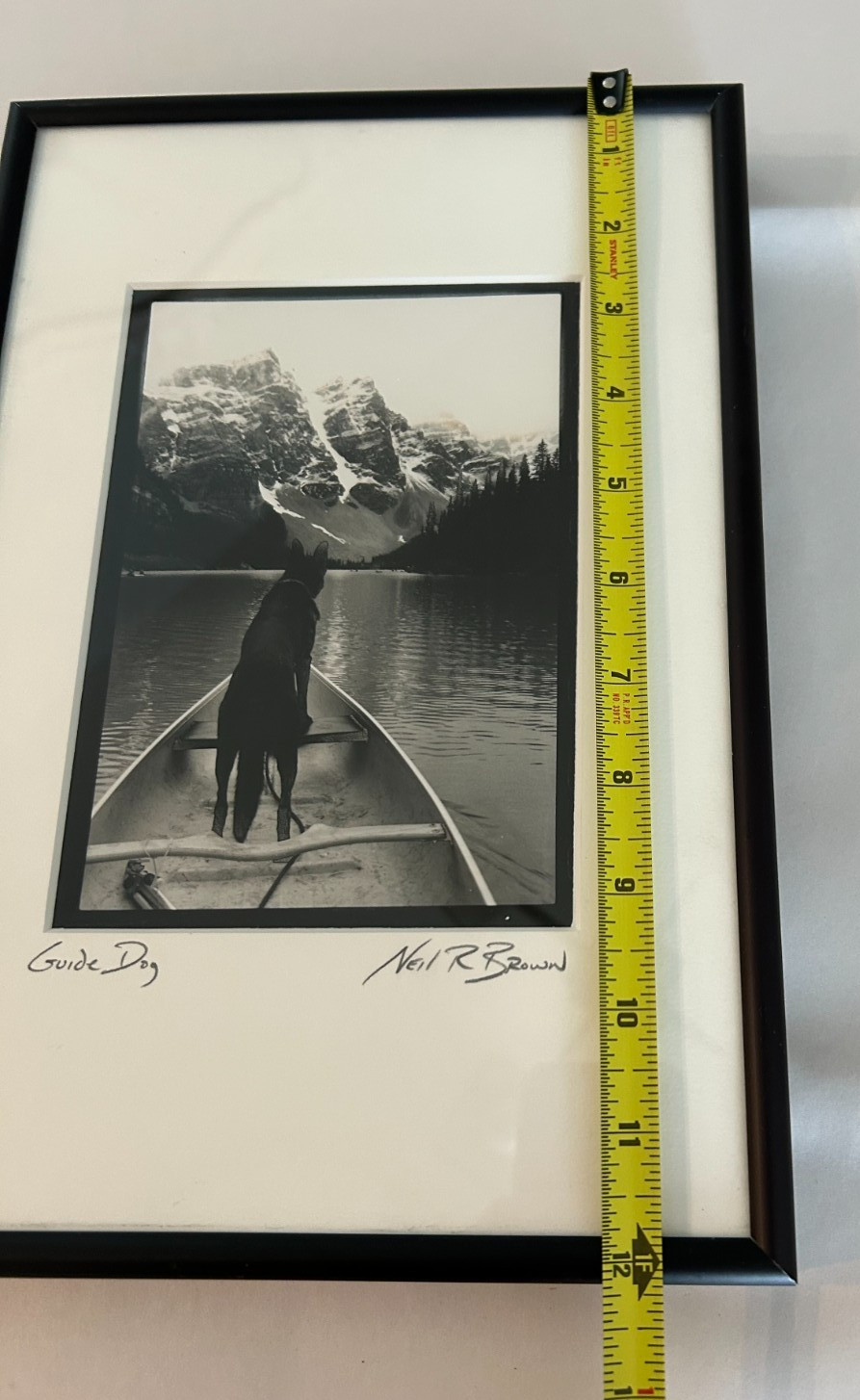 Framed Neil R. Brown “Guide Dog” Black And White Photograph Signed