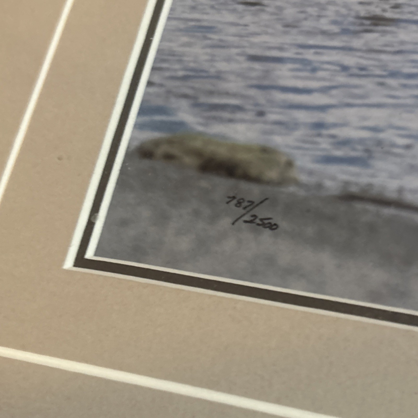 Thomas Mangelsen “Bearwatch” limited edition print
