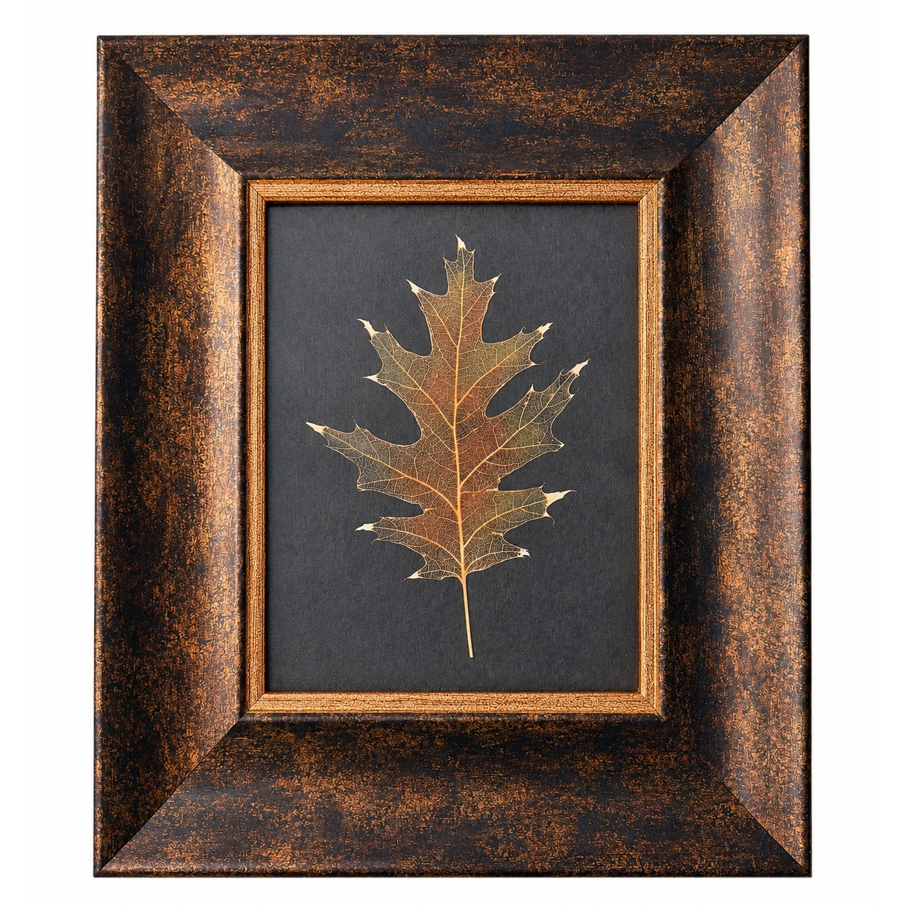 Julie Greenwood “Red Oak” Framed Botanical Print Botanical Wall Art Nature Decor
