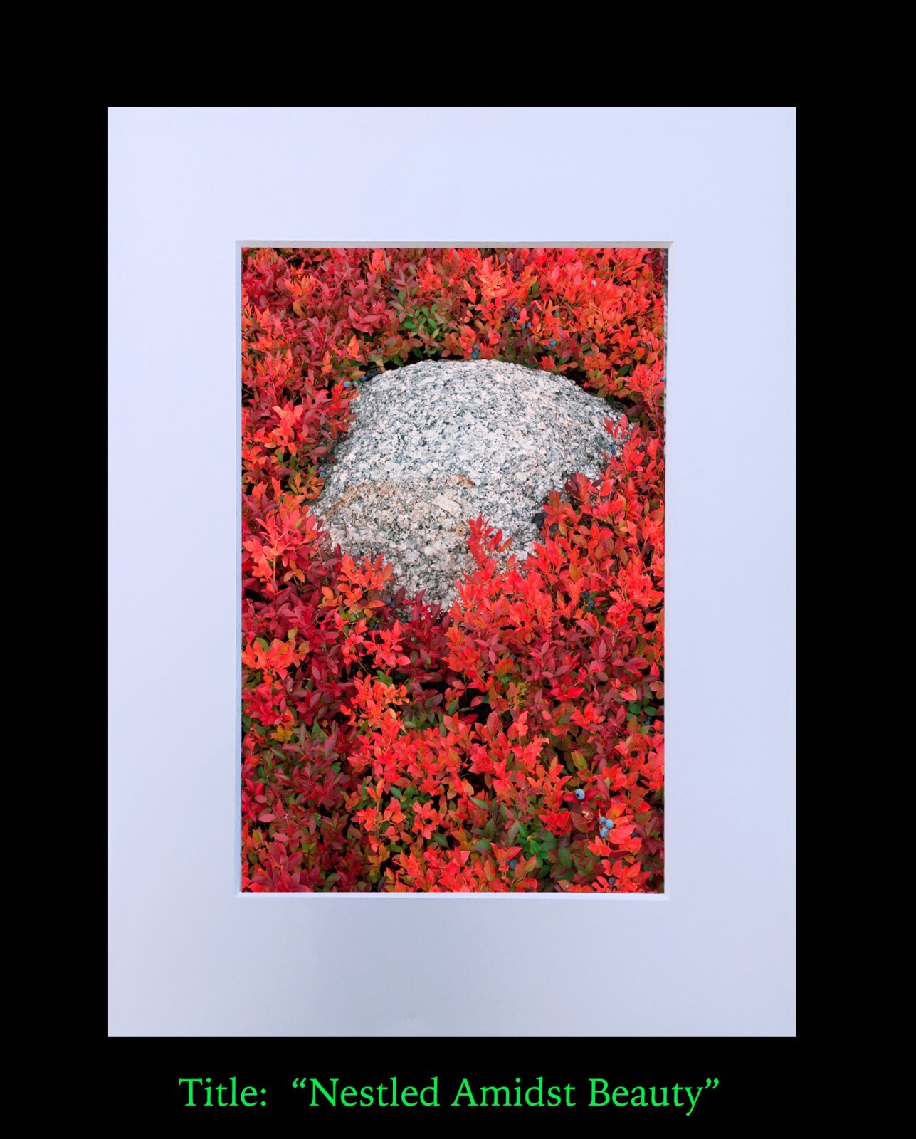 matted photograph, 5″x7″ print, mounted 3/16″ foam with 8″x10″ single white mat