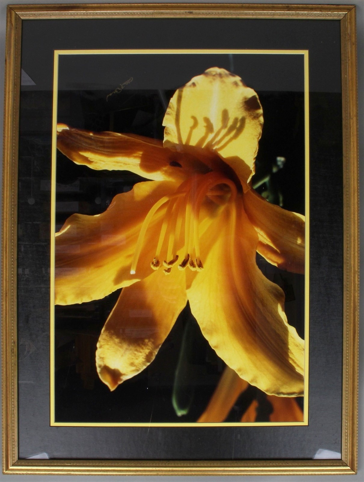 Framed Matted Signed 15×23 Color Photograph Macro Close-Up Floral TIGER LILLY