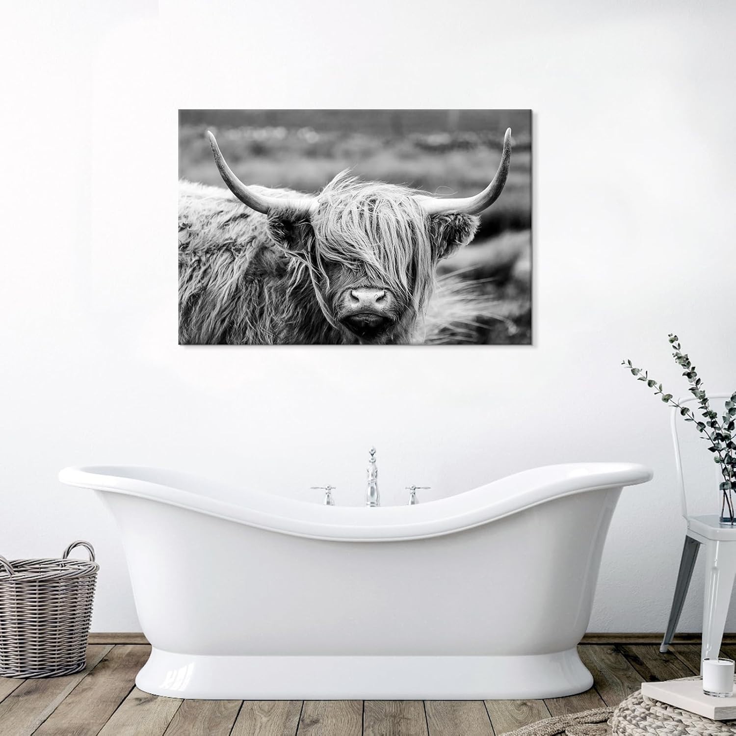 Highland Cow Photography Wildlife Portrait Picture Black and White Closeup An…